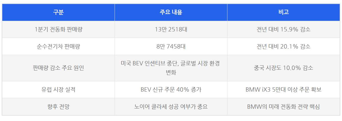 BMW 1분기 전동화 판매량